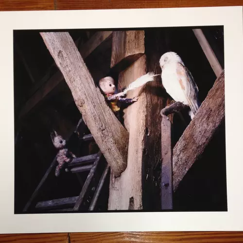 LARGE Pogle Print 2: Owl