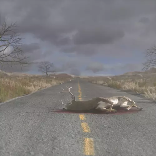 NxxxxxS - Invisible Prey