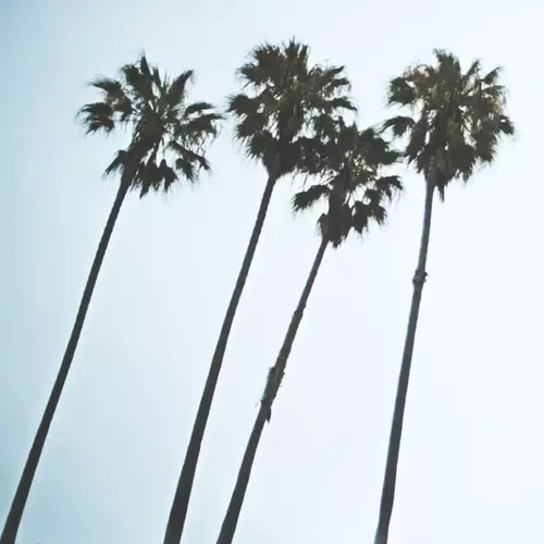 The Velvoids - Take It and Run (Revisited)