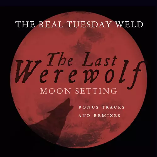 The Real Tuesday Weld - Moon Setting