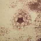 VARIOUS [BADVINYL001]