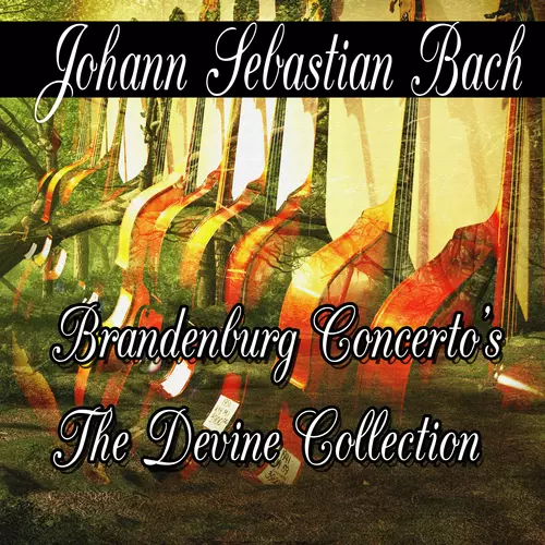 Sonata Symphony Orchestra - Johann Sebastian Bach: Brandenburg Concerto's The Divine Collection
