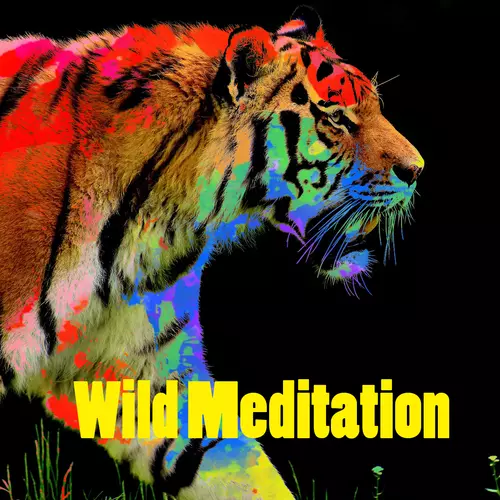 Kundalini: Yoga, Meditation, Relaxation - Wild Meditation