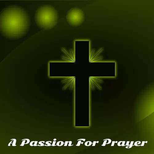Christian Hymns|Instrumental Christian Songs, Christian Piano Music|The Praise Baby Collection - A Passion For Prayer