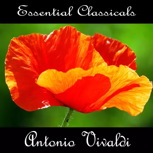 Jeremiah Grahams - Essential Classics: Antonio Vivaldi