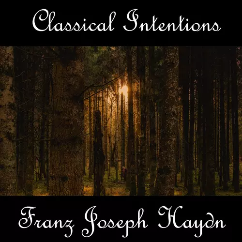 Franz Joseph Haydn - Instrumental Intentions: Franz Joseph Haydn
