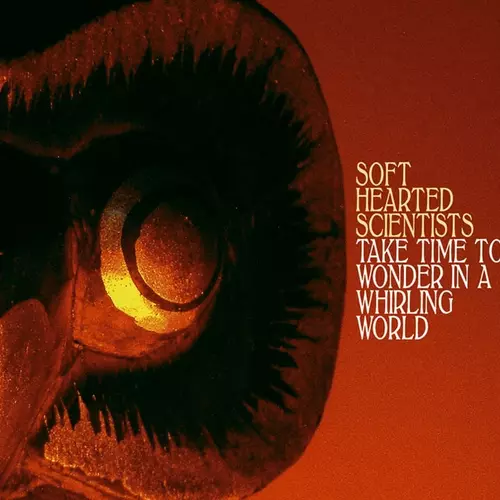 Soft Hearted Scientists - Take Time To Wonder In A Whirling World