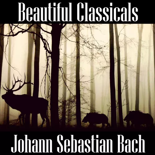 Johann Sebastian Bach - Johann Sebastian Bach: Brandenburg Concerto's