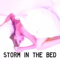 Storm In The Bed