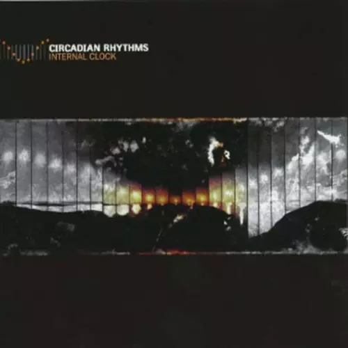 Circadian Rhythms - Internal Clock