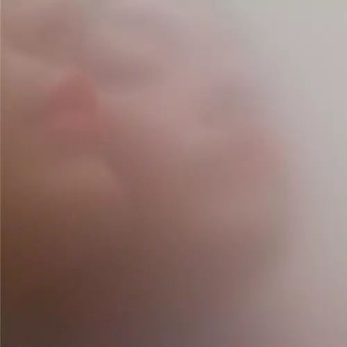 The fin. - Night Time