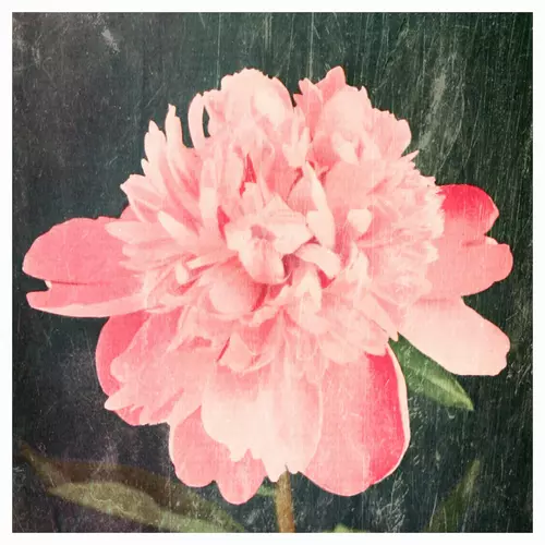 Victories at Sea - A Place To Stay