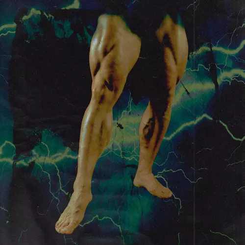 Timid Kooky - Pats Sau