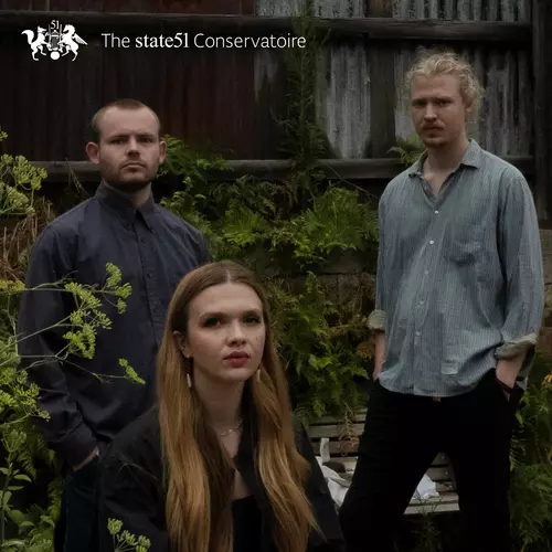 Falling Asleep on an Airplane