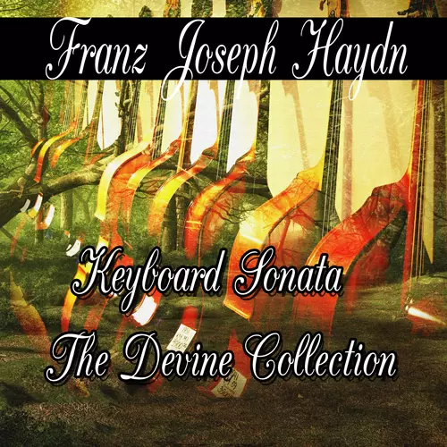 Franz Joseph Haydn - Franz Joseph Haydn: Keyboard Sonata The Divine Collection