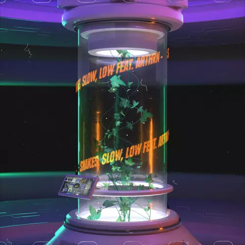 NxxxxxS feat. Arthrn - Snakes, Slow, Low