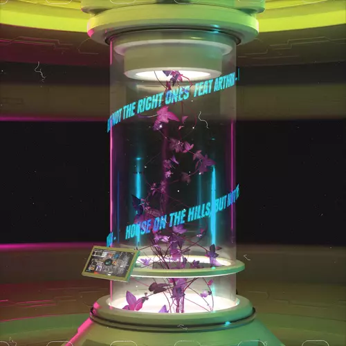 NxxxxxS feat. Arthrn - House In The Hills, But Not The Right Ones