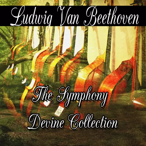 Ludwig van Beethoven - Ludwig van Beethoven: The Symphony Divine Collection