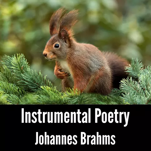 Johannes Brahms - Instrumental Poetry: Johannes Brahms