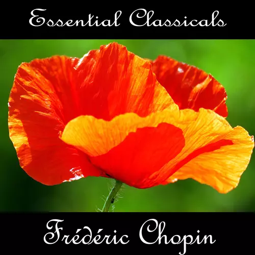 Jeremiah Grahams - Essential Classics: Frédéric Chopin
