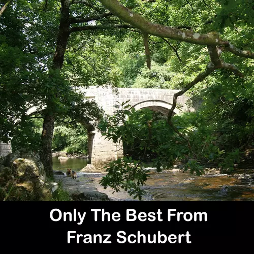Franz Schubert - Only The Best From Franz Schubert