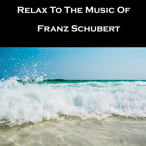 Franz Schubert - Relax To The Music Of Franz Schubert