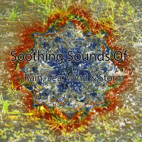 Rain Sounds & Nature Sounds|Sounds Of Nature : Thunderstorm, Rain|Lightning, Thunder and Rain Storm - Soothing Sounds Of Rain, Sea, Wind & Storm