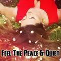 Feel The Peace & Quiet