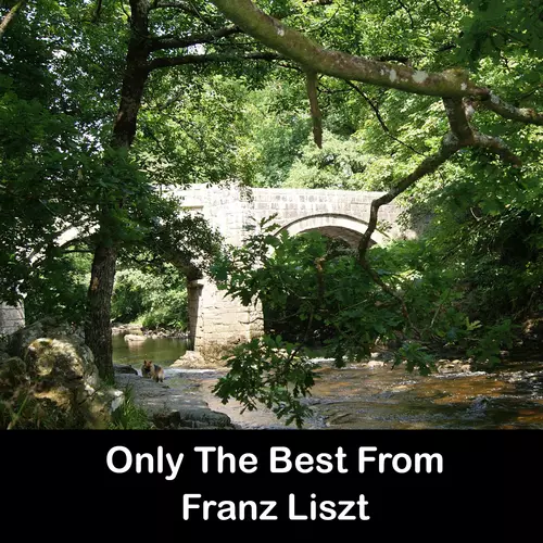 Franz Liszt - Only The Best From Franz Liszt