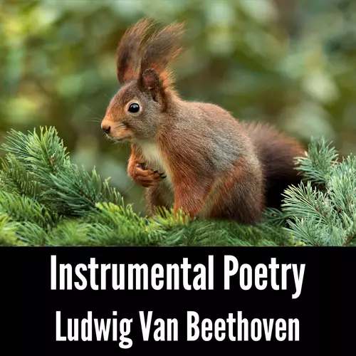 Ludwig Van Beethoven - Instrumental Poetry: Ludwig Van Beethoven