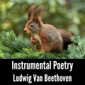 Instrumental Poetry: Ludwig Van Beethoven