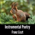 Instrumental Poetry: Franz Liszt