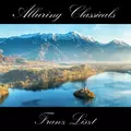 Classically Beautiful Franz Liszt