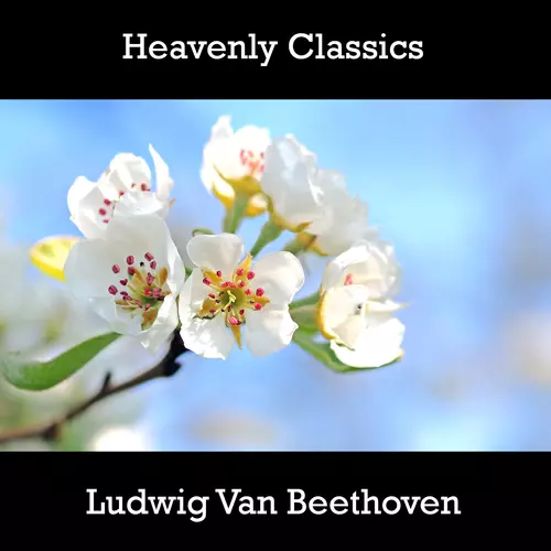 Ludwig Van Beethoven - Heavenly Classics Ludwig Van Beethoven