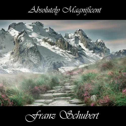 Franz Schubert - Absolutely Magnificent Franz Schubert