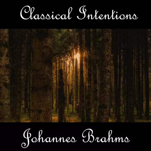 Johannes Brahms - Instrumental Intentions: Johannes Brahms