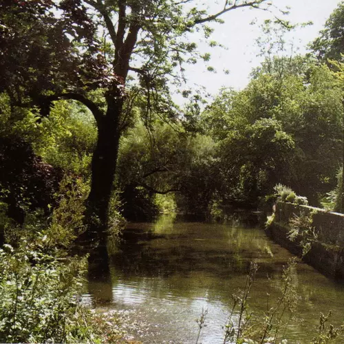 The Treecreepers - At The Mill