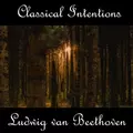 Instrumental Intentions: Ludwig van Beethoven