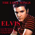 Elvis The Love Songs