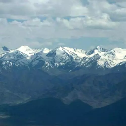 The Goat Project - छोटा