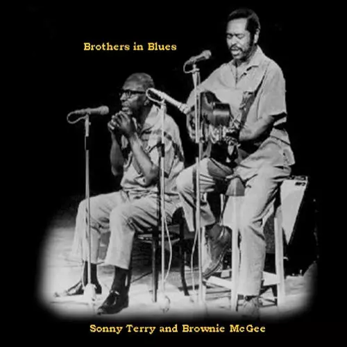Sonny Terry and Brownie McGhee - Bothers In Blues