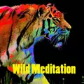 Wild Meditation