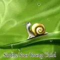 Soothe Your Young Child