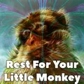 Rest For Your Little Monkey