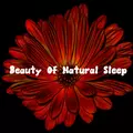 Beauty Of Natural Sleep