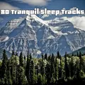 80 Tranquil Sleep Tracks