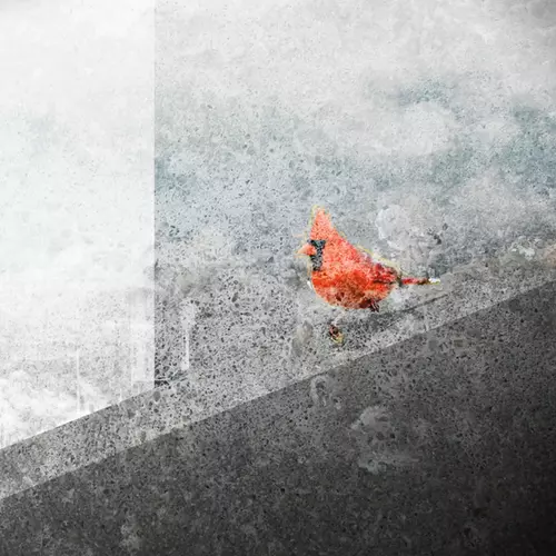 Philippe Pannier / Isambard Khroustaliov - Chaleur