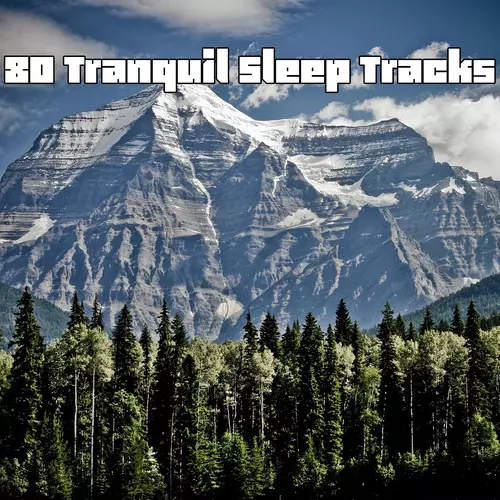 White Noise Babies - 80 Tranquil Sleep Tracks