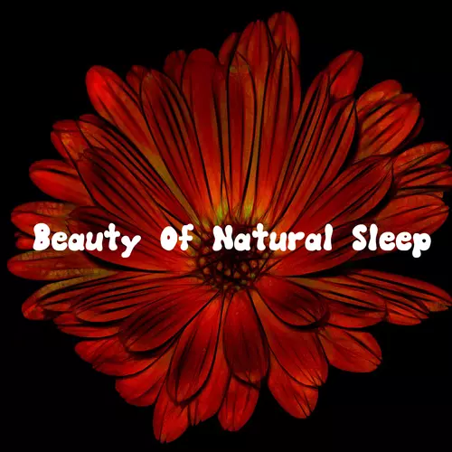 White Noise Babies - Beauty Of Natural Sleep