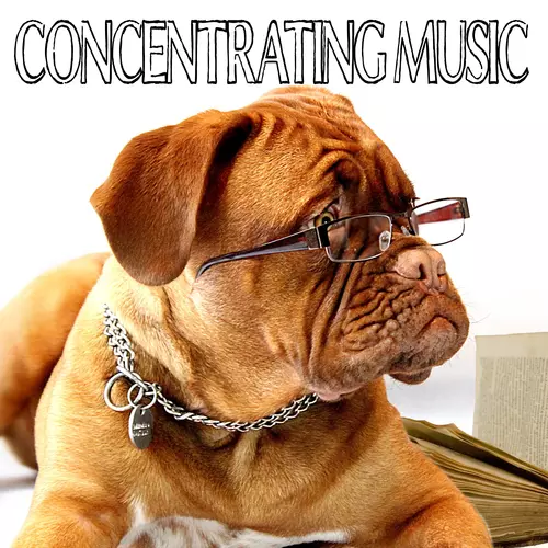 Study Exam Music - Concentrating Music